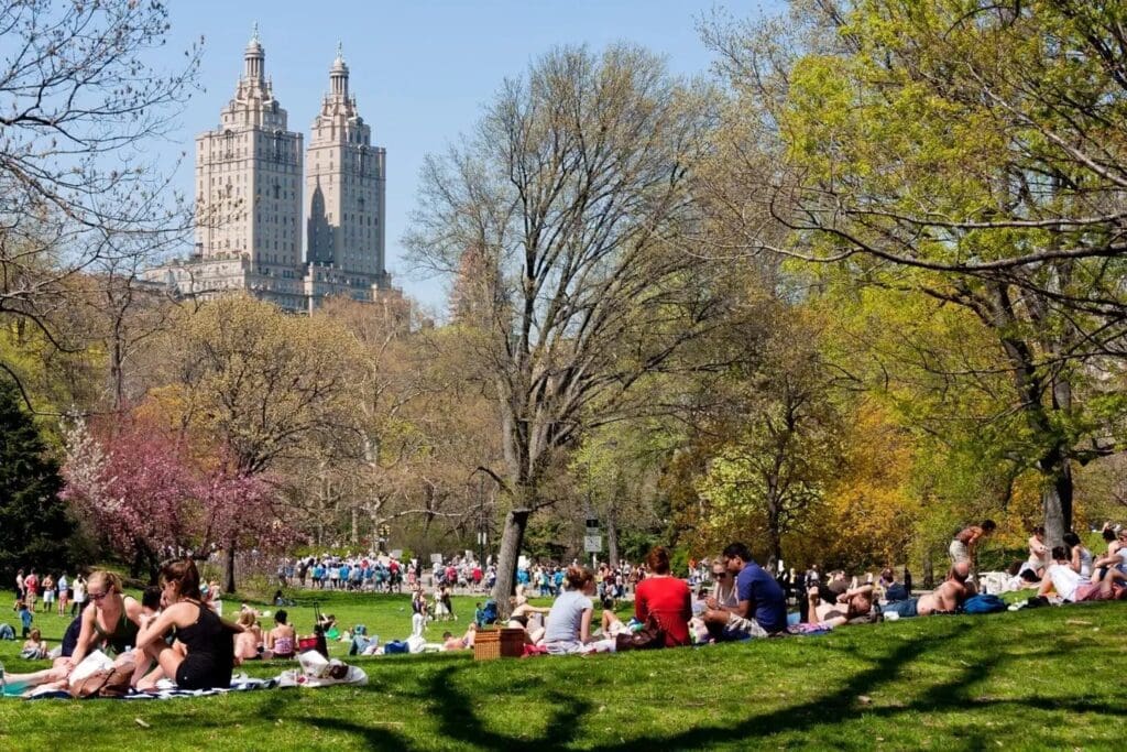 A Group of People Resting in Central Park