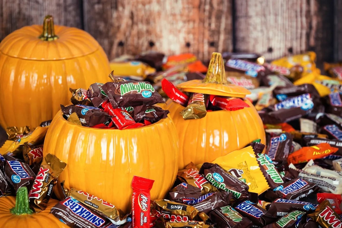 Sandy Stuffed in Ceramic Pumpkin Pots