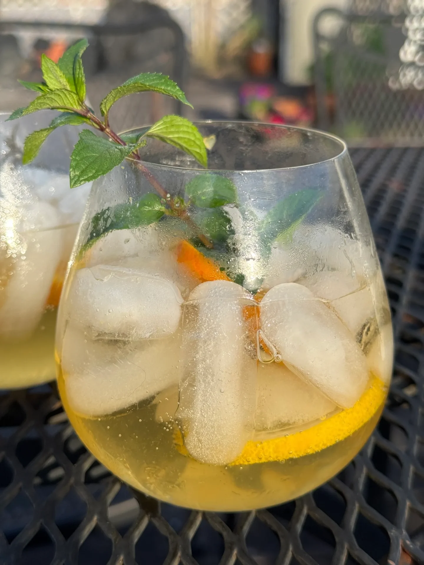 PORT TONIC PORT TONIC