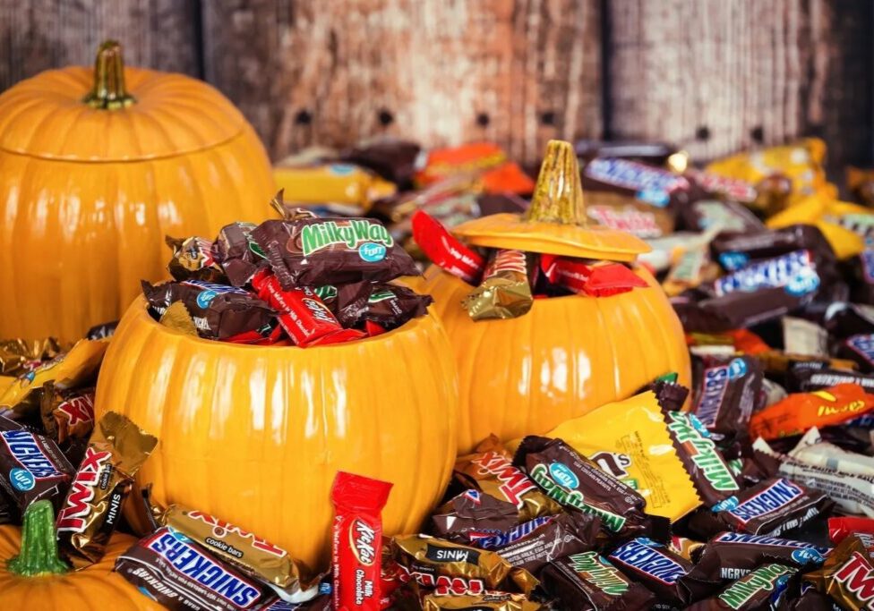 Sandy Stuffed in Ceramic Pumpkin Pots